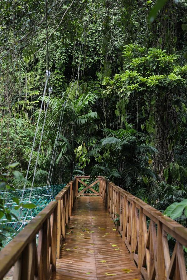 Jade Jungle Resort Teakettle Village Zewnętrze zdjęcie