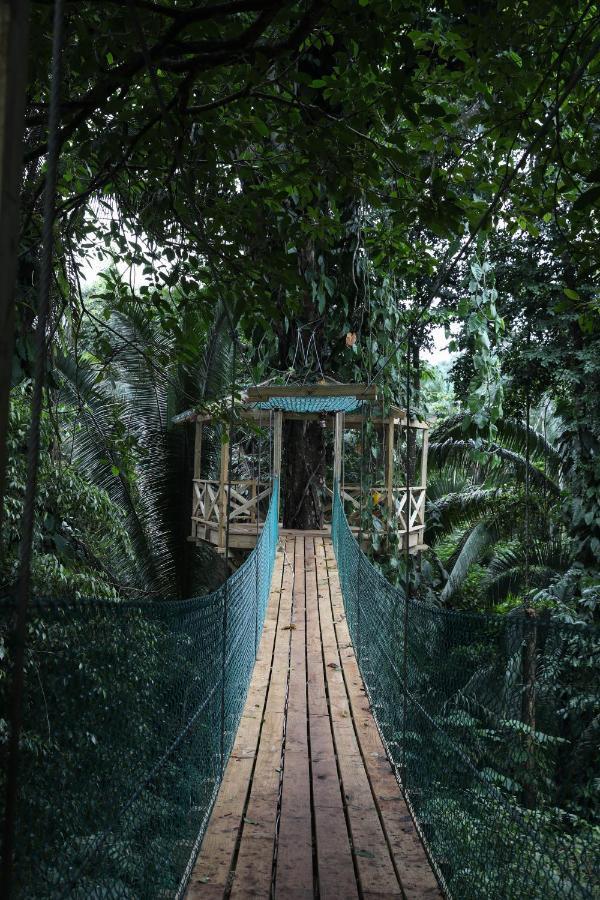 Jade Jungle Resort Teakettle Village Zewnętrze zdjęcie