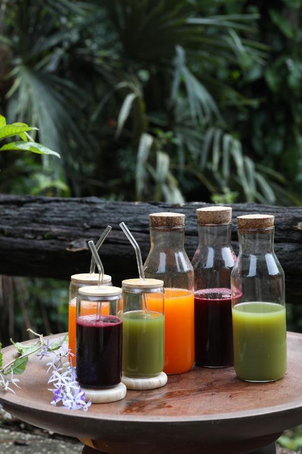Jade Jungle Resort Teakettle Village Zewnętrze zdjęcie